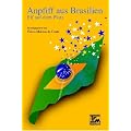Anpfiff aus Brasilien. Elf auf dem Platz