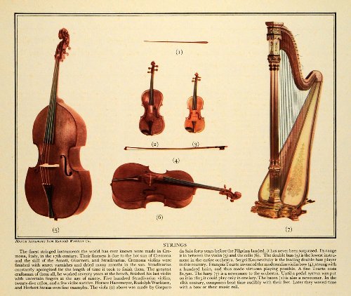 1931 Print Stringed Instruments Cello Bass Violin Harp Music Cremona Amati Bow - Original Color Print