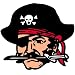 Sporting Goods : Pirate Temporary Tattoos