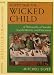 Book Respecting the Wicked Child: A Philosophy of Secular Jewish Identity and Education