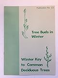 Tree buds in winter