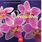 Orchideenfieber