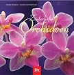 Zauberhafte Orchideen