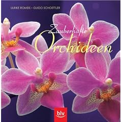 Zauberhafte Orchideen