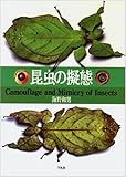 昆虫の擬態