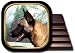 Belgian Malinois Coaster Set