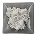 Mica Pearl White - 0.9oz / 25g