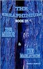The Mirror and the Maelstrom (The Seraphinium)