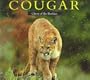 Cougar: Ghost of the Rockies