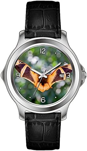 lvlp Men's Sentry 42mm Stainless Steel Leather Quartz Movement Watch &amp;303