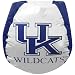Bean Bag Boys Kentucky Wildcats Bean Bag Chair