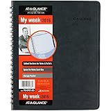 AT-A-GLANCE Daily Appointment Book / Planner 2016, The Action Planner, 8.12 x 10.88 Inches, Black (70-EP01-05 )