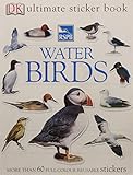 Water birds