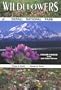 Wildflowers of Denali National Park