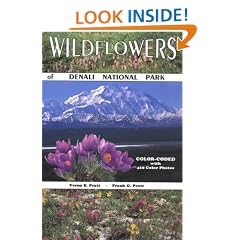 Wildflowers of Denali National Park