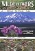 Search : Wildflowers of Denali National Park