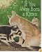 If You Were Born a Kitten