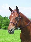 Kincade Plain Raised English Bridle w/Reins Chocolate