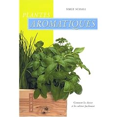 Plantes aromatiques