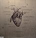 The Fall Of Hearts ( 2 Lp Gatefold Sleeve )