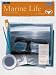 Marine Life with Wyland/Acrylic: Learn to Paint Step by Step by Wyland