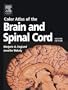 Color Atlas of the Brain and Spinal Cord, 2e