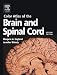 Book Color Atlas of the Brain and Spinal Cord