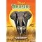 Elephants: The Pachyderm Parade