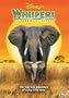 Whispers - An Elephant's Tale