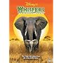 Whispers - An Elephant's Tale