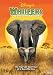 Whispers - An Elephant's Tale
