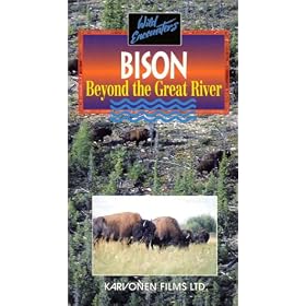 Bison:Beyond the Great River