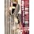 WILD ADAPTER 6 (6) (�L�����R�~�b�N�X)