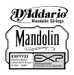D'Addario Sngl Mand Exp 80/20 026