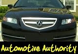 Acura TL Chrome Mesh Grille Inserts 04-07
