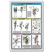 Algra Fitnus Chart Series Squat Workout