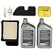 Kohler 20 789 01-S Engine Maintenance Kit