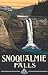 Northwest Art Mall 11" x 17" Poster Snoqualmie Falls by Paul A. Lanquist