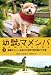 原案・脚本:永森裕二／著者:柳 雪花: 幼獣マメシバ （上）（竹書房文庫）
