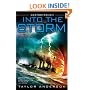 Into the Storm: Destroyermen, Book I