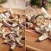 New Fashion Girl Korean Stylish Chic Starfish Beach Sea Star Hairpin Hair Clip