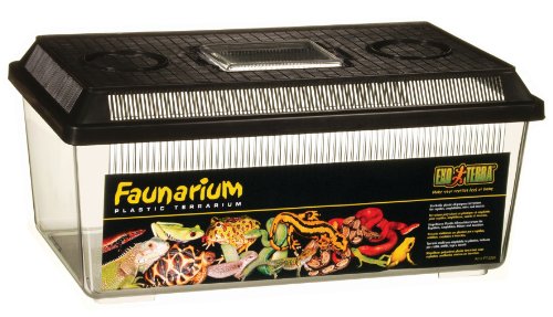 Exo Terra Faunarium, Flat Home, Medium