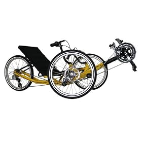 TerraTrike Zoomer
