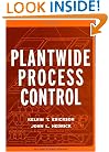 Plant-Wide Process Control (Wiley Series in Chemical Engineering)