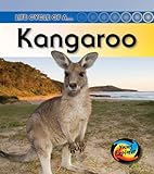 Life cycle of a-- kangaroo