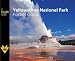 Yellowstone National Park Pocket Guide