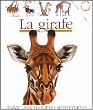 La girafe