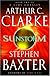 Sunstorm (A Time Odyssey)