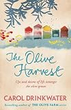 bookshop france The Olive Harvest because we all love reading blogs about living in France bookshop france The Olive Harvest because we all love reading blogs about life in France