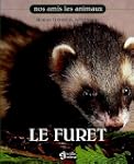 Le furet -NE: NULL